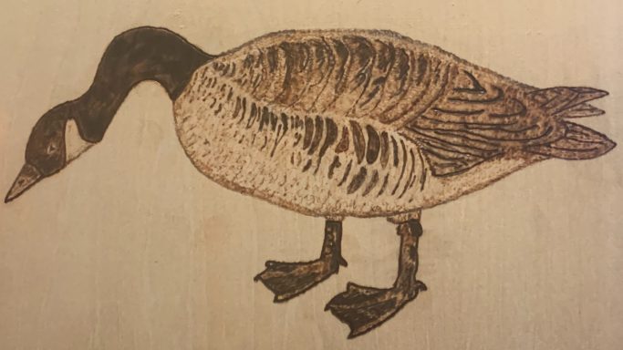 Canadian Goose - Pyrography
